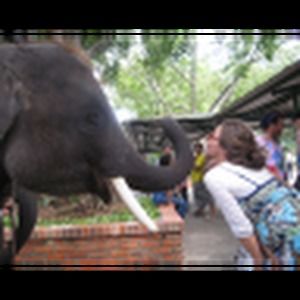 Meet your Posher, Rifka c.